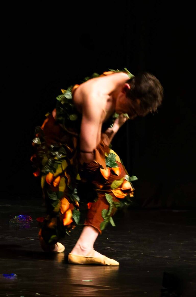 Ballet Peter Pan 213