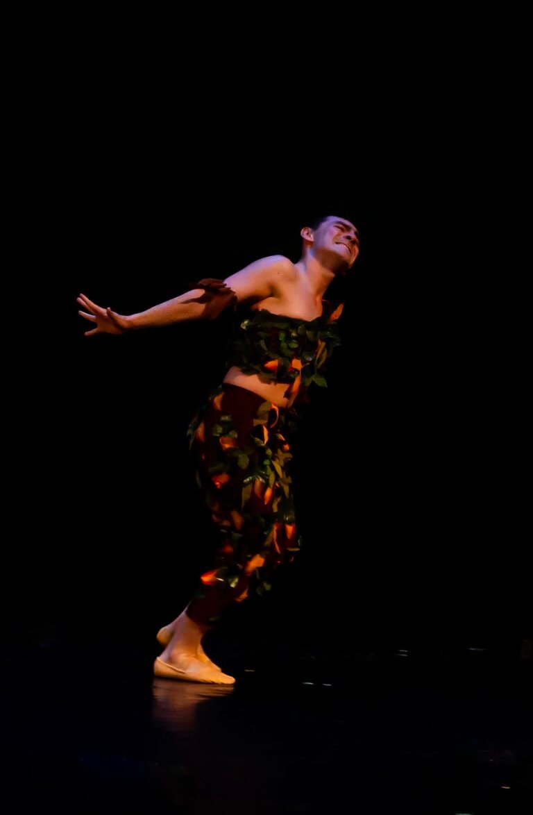 Ballet Peter Pan 238