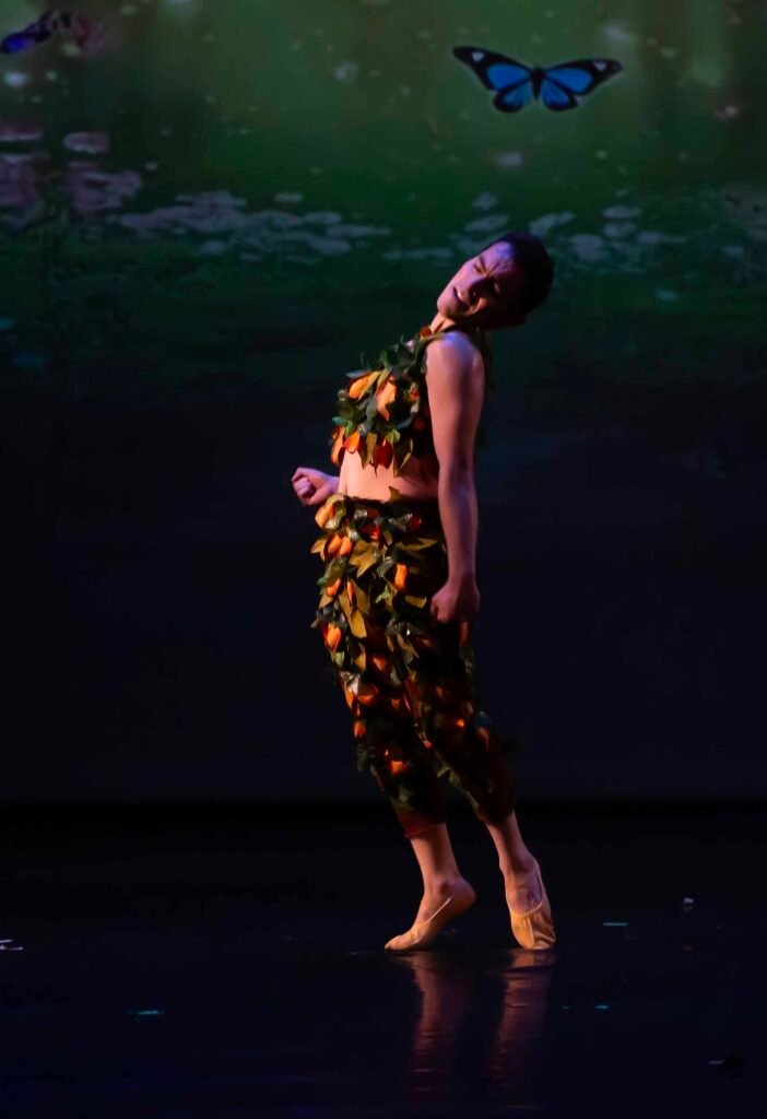 Ballet Peter Pan 240