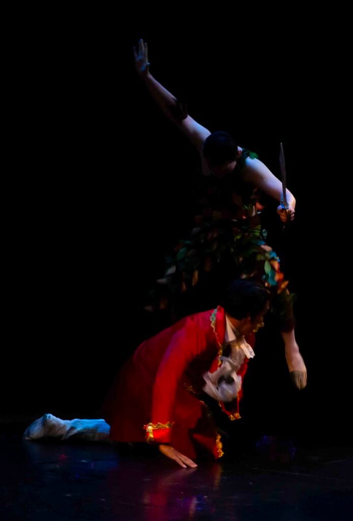 Ballet Peter Pan 289 1