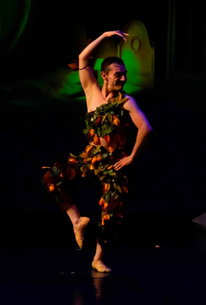 Ballet Peter Pan 304 1