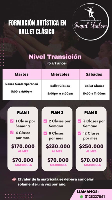Transicion-Ballet Transicion Ballet